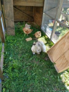 Read more about the article Dag 1