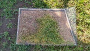 Read more about the article Konklusion