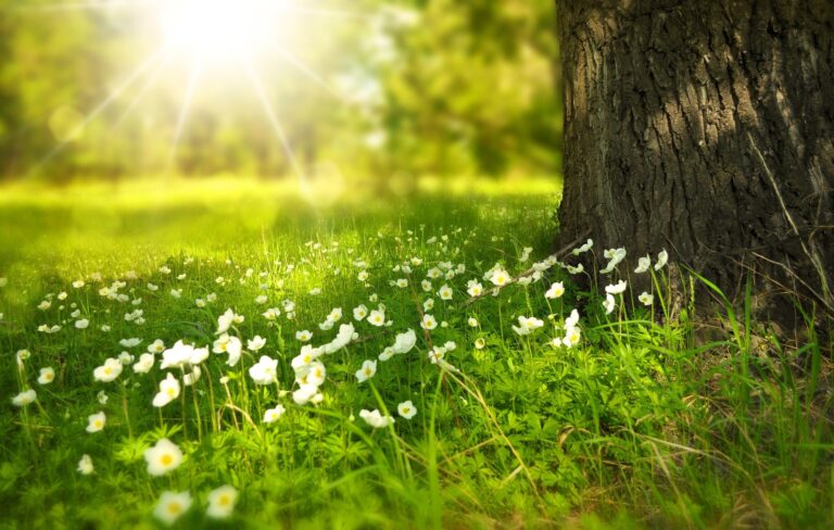 Read more about the article 🌻 Sommer udsalg 🌻 Spar op til 40% i Juli