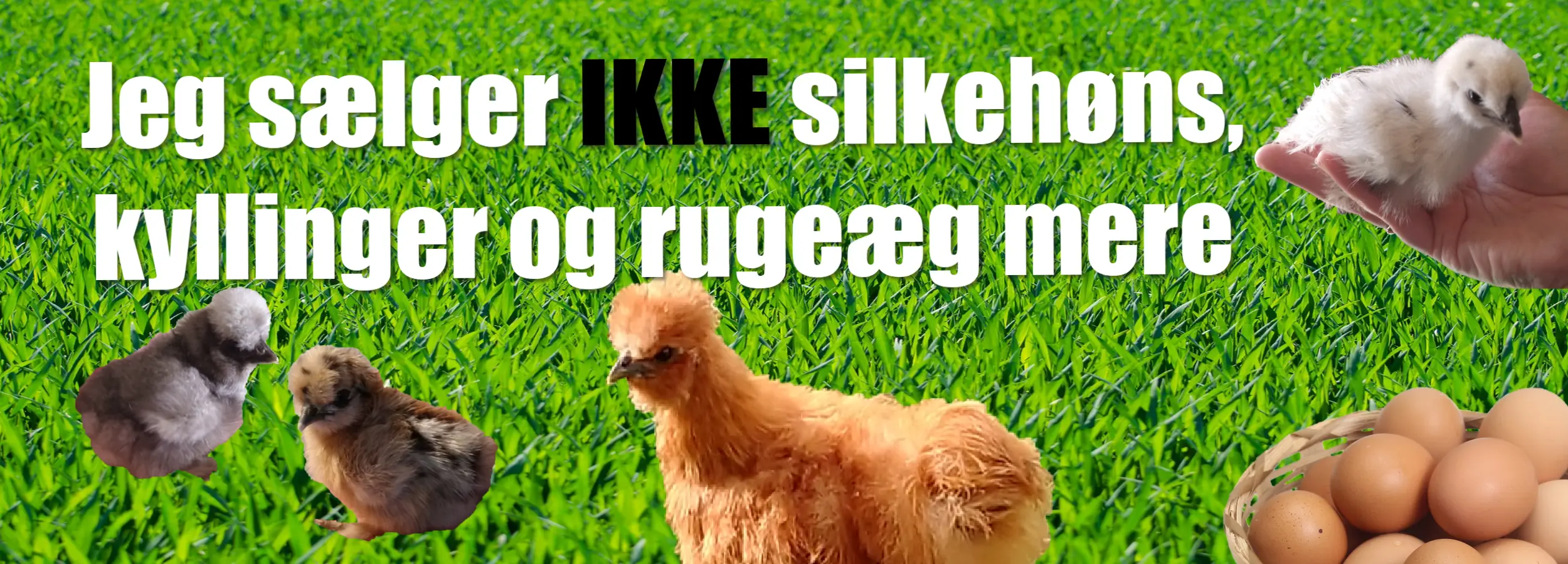 Reklameslider - sælger ikke høns mere (1)