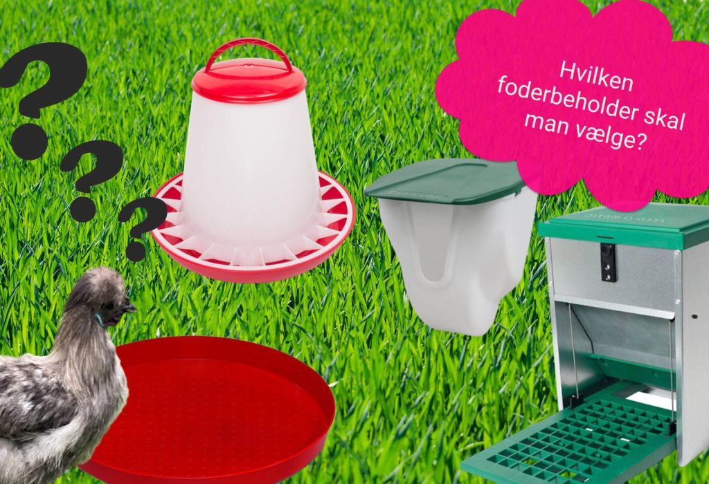 hvilken foderbeholder skal man vælge til sine høns - vejledning