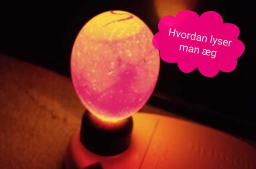 hvordan lyser man æg